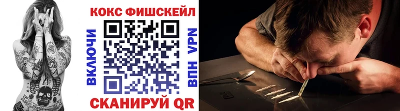 Купить закладки  Ревда  COCAIN 98% 
