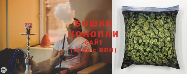 тгк Горно-Алтайск